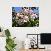 Mountain Laurel 46 ~ Druck Poster (Heimbüro)