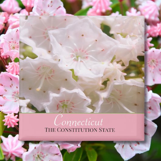 Mountain Laurel Connecticut Staat Blume Magnet