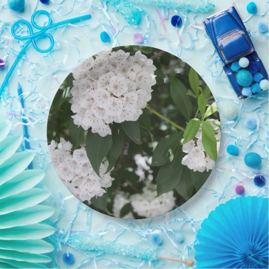 Mountain Laurel White Blume Pappteller (Party)