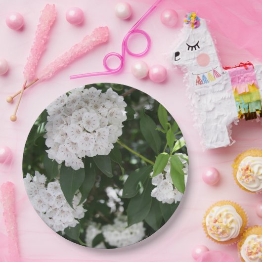 Mountain Laurel White Blume Pappteller (Party)