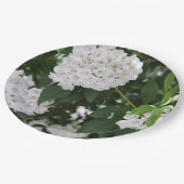 Mountain Laurel White Blume Pappteller (Schrägansicht)