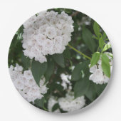 Mountain Laurel White Blume Pappteller (Vorderseite)