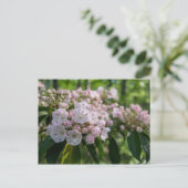 Mountain Laurel Wildblume Postcard Postkarte (Stehend Vorderseite)