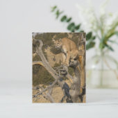 Mountain Lion, aka puma, cougar; Puma concolor, 2 Postkarte (Stehend Vorderseite)