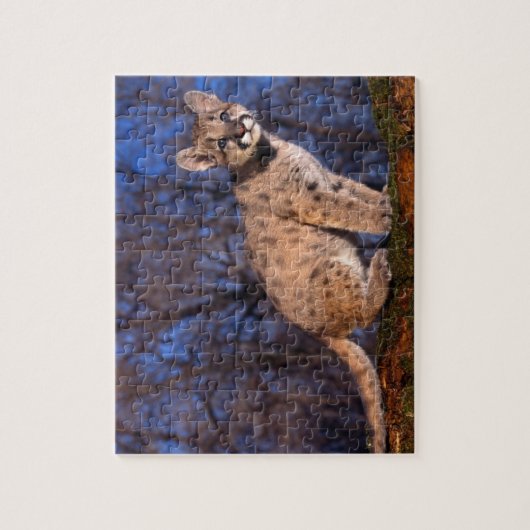 Mountain Lion Cub Puzzle (Vertikal)