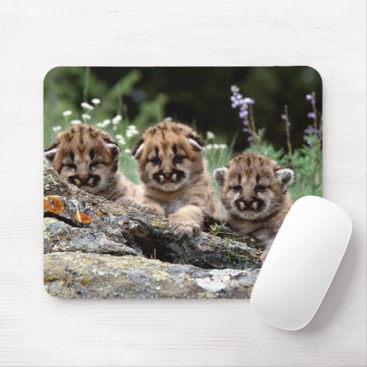 Mountain Lion Cubs Mouse Pad Mousepad (Mit Mouse)