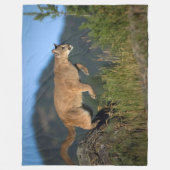MOUNTAIN LION FLEECEDECKE (Vorderseite)