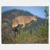 MOUNTAIN LION FLEECEDECKE (Vorderseite (Horizontal))