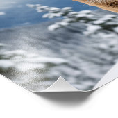 Mountain Lion Foto Print (Ecke)
