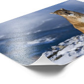 Mountain Lion Foto Print (Ecke)
