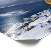Mountain Lion Foto Print (Ecke)