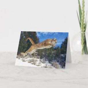 Mountain Lion Grußkarte Karte