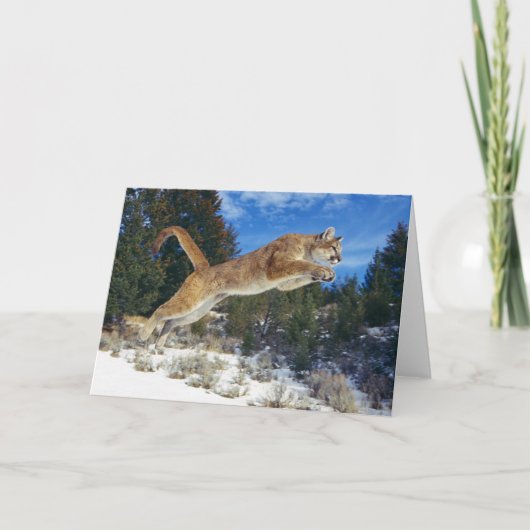 Mountain Lion Grußkarte Karte (Vorderseite)