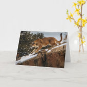 Mountain Lion Grußkarte Karte (Gelbe Blume)