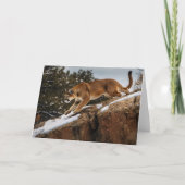 Mountain Lion Grußkarte Karte (Vorderseite)