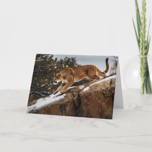 Mountain Lion Grußkarte Karte (Vorderseite)
