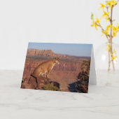 Mountain Lion Grußkarte Karte (Gelbe Blume)
