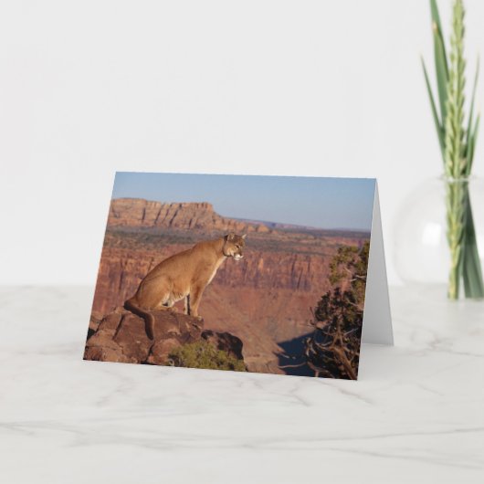 Mountain Lion Grußkarte Karte (Vorderseite)