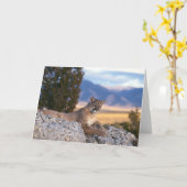 Mountain Lion Grußkarte Karte (Gelbe Blume)
