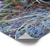 Mountain Lion - Hmmm Poster (Ecke)