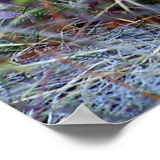 Mountain Lion - Hmmm Poster (Ecke)