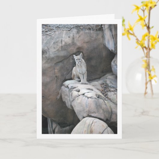 Mountain Lion Karte (Gelbe Blume)