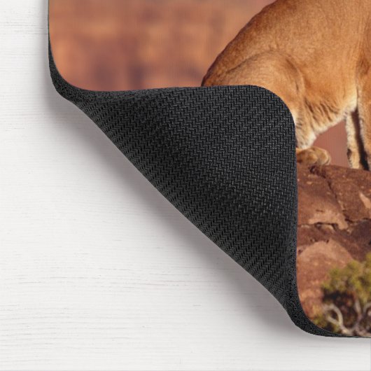 Mountain Lion Maus Pad Mousepad (Ecke)