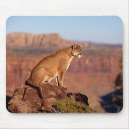 Mountain Lion Maus Pad Mousepad