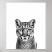 Mountain Lion Puma Big Cat Schwarz-weiß Poster (Vorne)