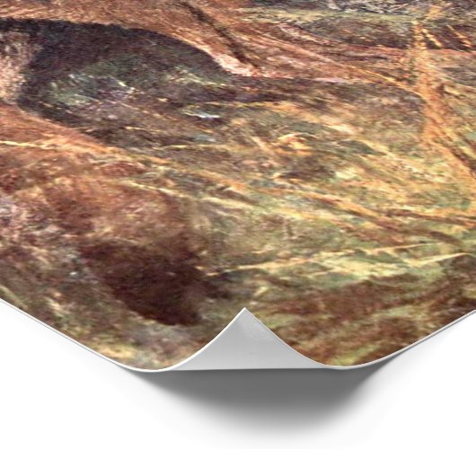 Mountain Lion, Puma oder Cougar von CE Swan Poster (Ecke)