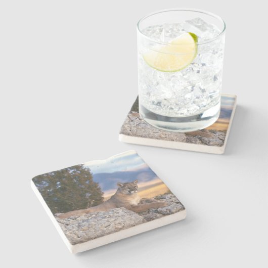 Mountain Lion Stone Untersetzer (Seitenansicht)