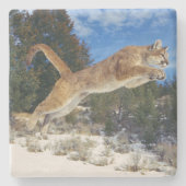 Mountain Lion Stone Untersetzer (Vorderseite)
