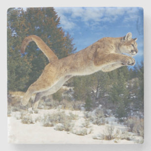 Mountain Lion Stone Untersetzer
