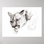 Mountain Lion Zeichnend Poster (Vorne)