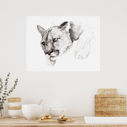 Mountain Lion Zeichnend Poster (Küche)
