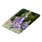 Mountain Lupins at Yosemite Magnet (Linke Seite)