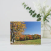 Mountain Meadow Postcard Postkarte (Stehend Vorderseite)