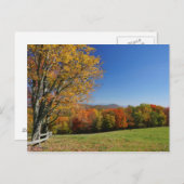 Mountain Meadow Postcard Postkarte (Vorne/Hinten)