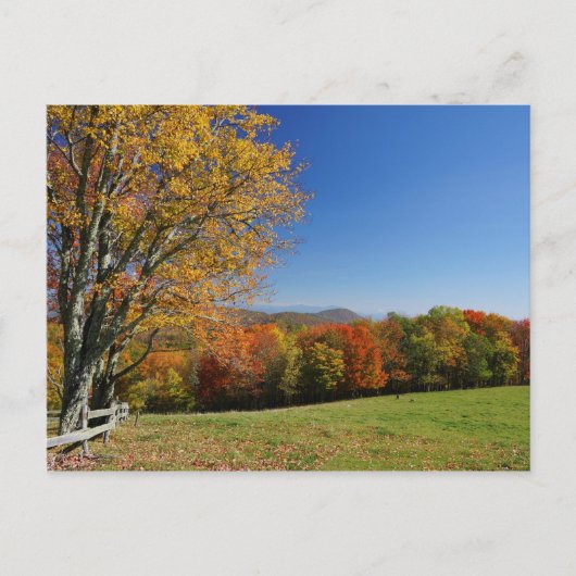 Mountain Meadow Postcard Postkarte (Vorderseite)