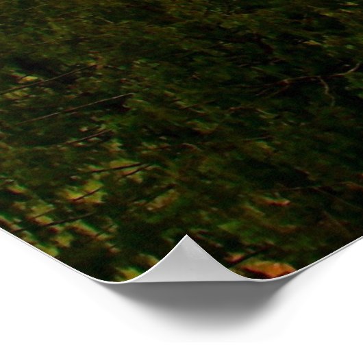 Mountain Mist Print w/Scripture Verse Poster (Ecke)