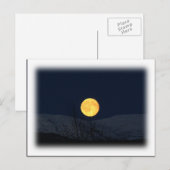 Mountain Moon Postkarte (Vorne/Hinten)