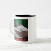 Mountain Northern Lights Zweifarbige Tasse (Vorderseite Links)