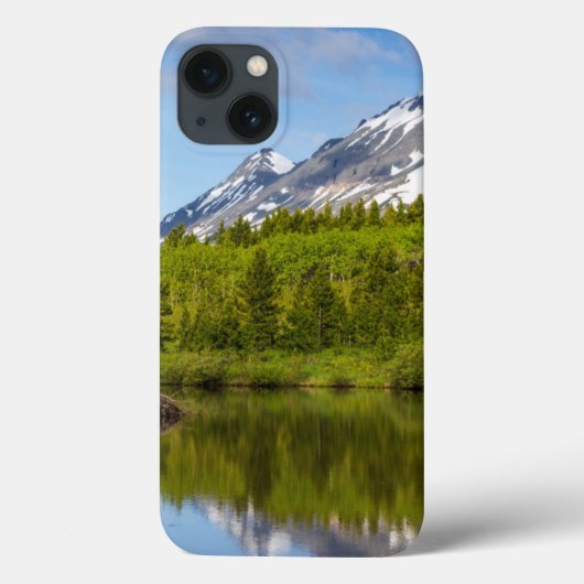 Mountain Peaks Reflect Into A Beaver Pond Case-Mate iPhone Hülle (Rückseite)