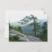 Mountain Pine Tree – Nature’s Resilience Photo Mitteilungskarte (Vorderseite)