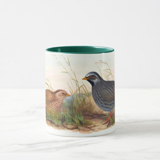 Mountain Quail - Bird, Tasse (Zentrum)