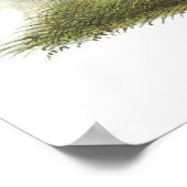 Mountain Quail, John Audubon Poster (Ecke)