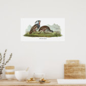 Mountain Quail, John Audubon Poster (Küche)
