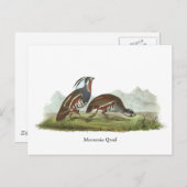 Mountain Quail, John Audubon Postkarte (Vorne/Hinten)