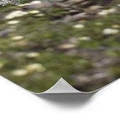 Mountain Range And Lake From On Top Of A Mountain Poster (Ecke)