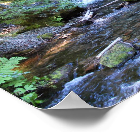 Mountain River Rocks Trees Poster (Ecke)